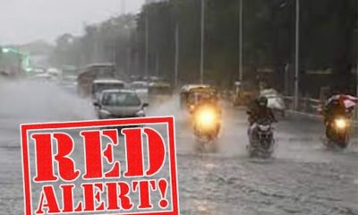 Red Alert | ஃபெஞ்சல் புயல் எதிரொலி! சென்னை உள்பட 7 மாவட்டங்களுக்கு இன்று ரெட் அலெர்ட் - வானிலை மையம் எச்சரிக்கை
