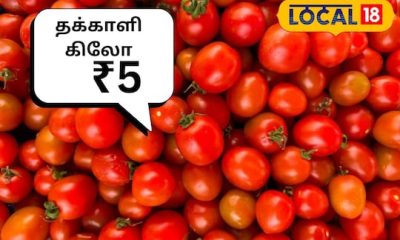 5 ரூபாய்க்கு 1 கிலோ தக்காளி... மக்களைக் கவர்ந்த வியாபாரியின் செயல்...