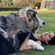 Janhvi Kapoor Dog