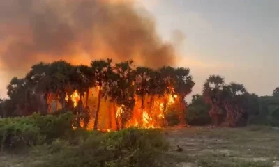 fire