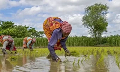 farmers pm kisan