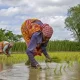 farmers pm kisan
