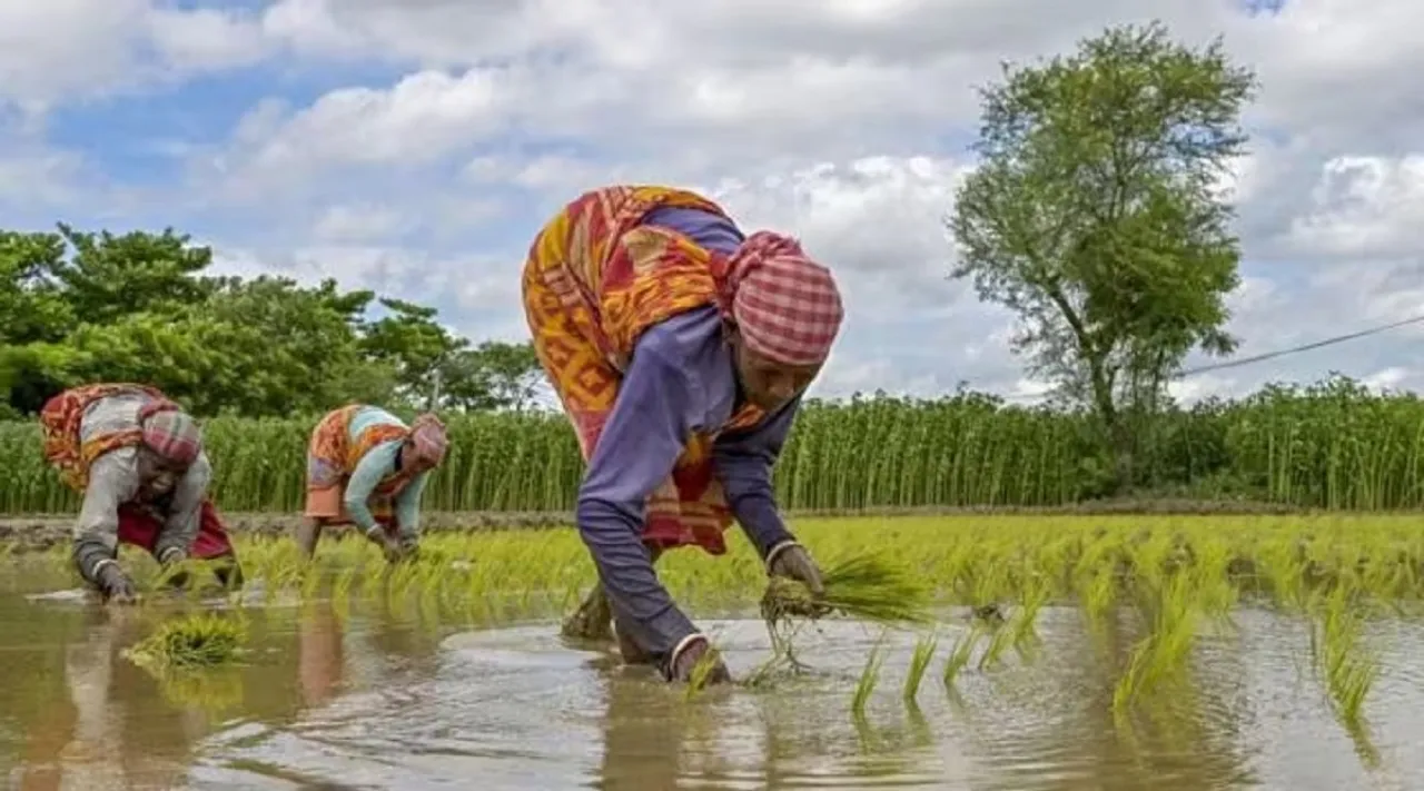 farmers pm kisan