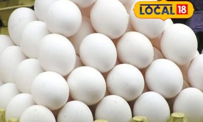 நாமக்கல்  - முட்டை விலை உயர்வு 