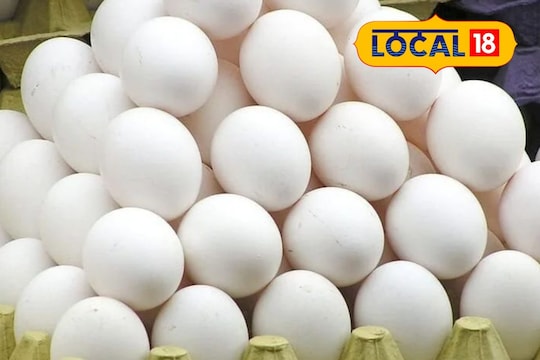நாமக்கல் - முட்டை விலை உயர்வு