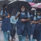 School Leave : பள்ளி, கல்லூரிகளுக்கு நாளை (டிசம்பர் 03) விடுமுறை.. மாவட்ட ஆட்சியர் அறிவிப்பு
