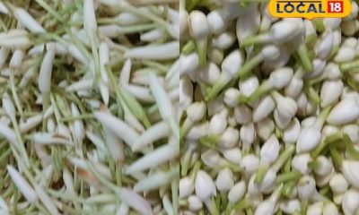 Last Subha Muhurtham: ஆண்டின் கடைசி சுப முகூர்த்தம்... எகிறி அடிக்கும் பூக்கள் விலை...