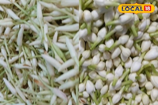 Last Subha Muhurtham: ஆண்டின் கடைசி சுப முகூர்த்தம்... எகிறி அடிக்கும் பூக்கள் விலை...