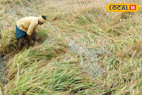 விழுப்புரம் வெள்ளம்: தமிழக அரசு அறிவித்துள்ள நிவாரண உதவித்தொகை விவரம்..