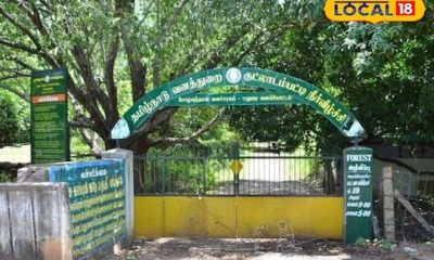 குட்லாடம்பட்டி அருவி