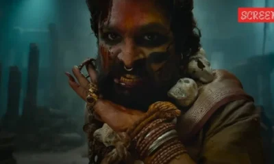Pushpa boxoffic