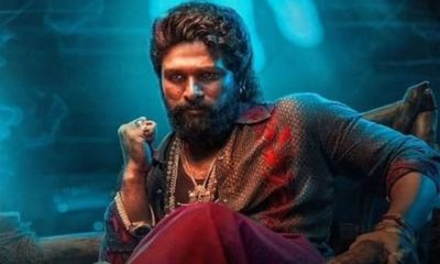 Pushpa 2 Boxoffice : வரலாற்றில் இதுவரை இல்லாத அளவு வசூல் வேட்டை நடத்திய 'புஷ்பா 2'