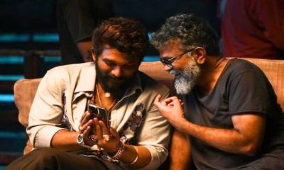 புஷ்பா பட வாய்ப்பை நிராகரித்த அந்த 3 பிரபலங்கள் யார் யார் தெரியுமா?