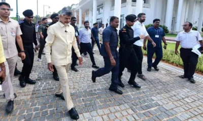 Chandrababu-Naidu xy