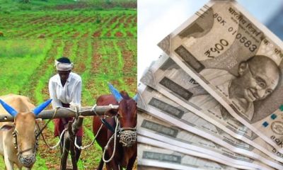 PM Kisan Installment: PM கிசான் 19வது தவணை - தேதி, பெனிபிஸியரி ஸ்டேட்டஸ், விண்ணப்பிப்பது எப்படி? தெரிஞ்சுக்கலாம் வாங்க...