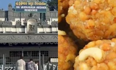 திருப்பதி தேவஸ்தானத்திற்கு கலப்பட நெய் விநியோக விவகாரம்: முக்கிய ஆவணங்கள் பறிமுதல்!