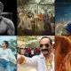 Malayalam Movies 2024