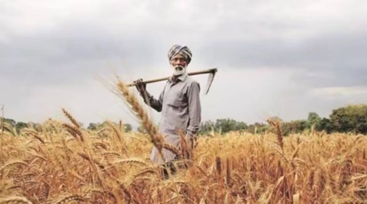pm kissan wheat farmer