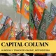 bjp chief