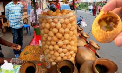 pani pur