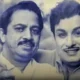 vaali mgr 2x
