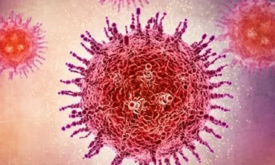 Puducherry Child tests positive for HMPV discharged from hospital Tamil News