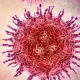 Bengaluru HMPV infections not linked to China surge health ministry Tamil News