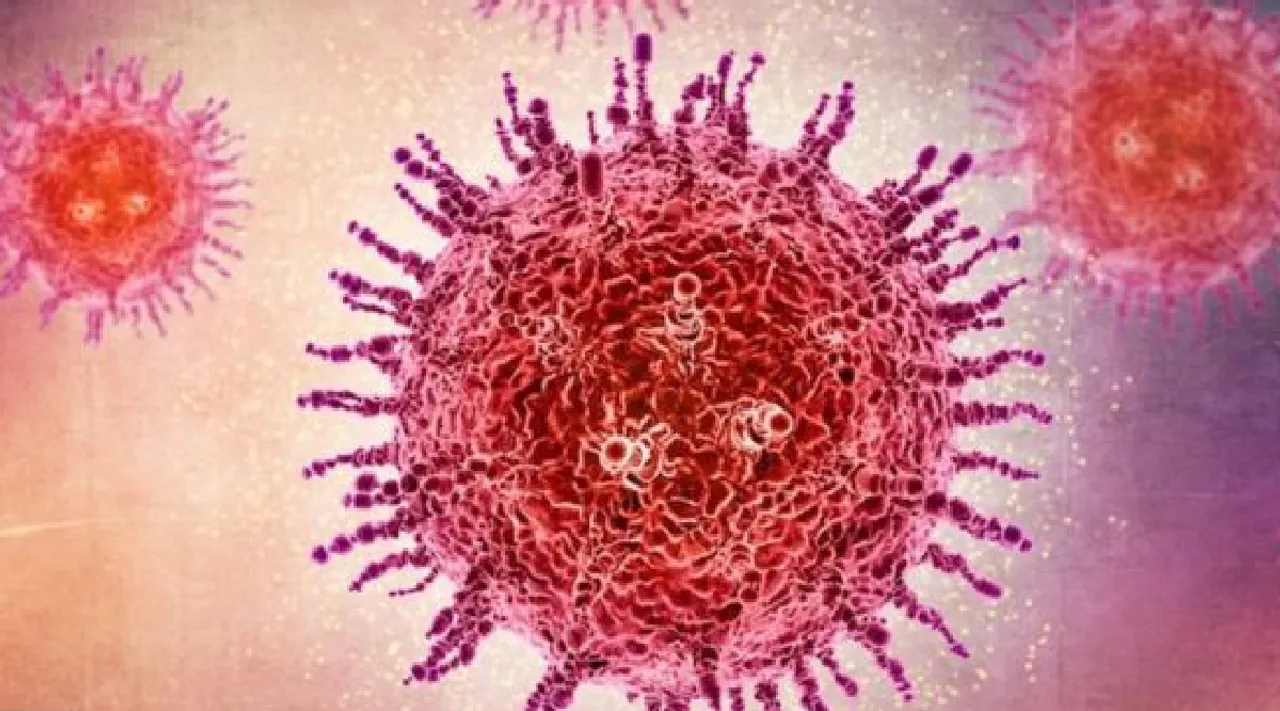 Bengaluru HMPV infections not linked to China surge health ministry Tamil News