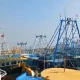 puducherry Karaikal fishermen black flag protest against central and state govt for Sri Lanka navy firing Tamil News