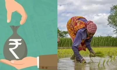 PM Kisan 19
