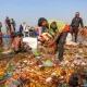 NGT Kumbh
