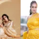shruthi narayanan