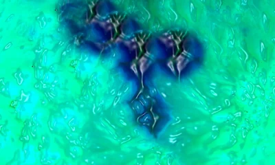 scientists discovered a new olo color