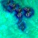 scientists discovered a new olo color