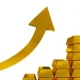 Gold Investment