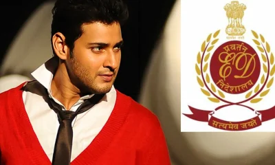 enforcement directorate