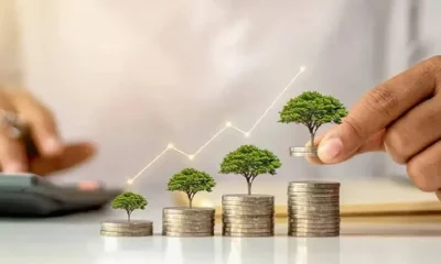 Mutual fund return