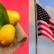 US ban mango