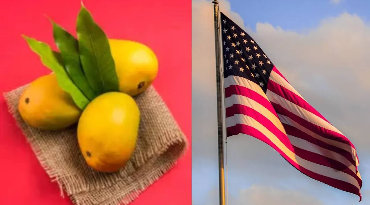 US ban mango