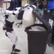 Tesla’s humanoid robot