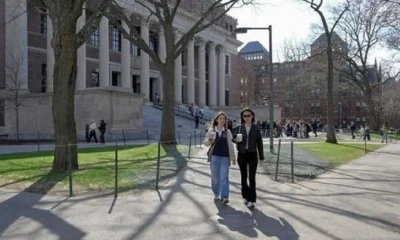 harvard univ visa