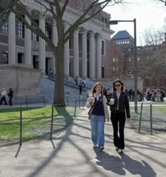 harvard univ visa