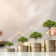 Mutual fund investment