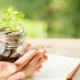 PPF investment