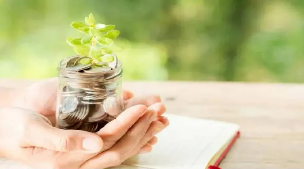 PPF investment