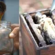 Beekeeping process