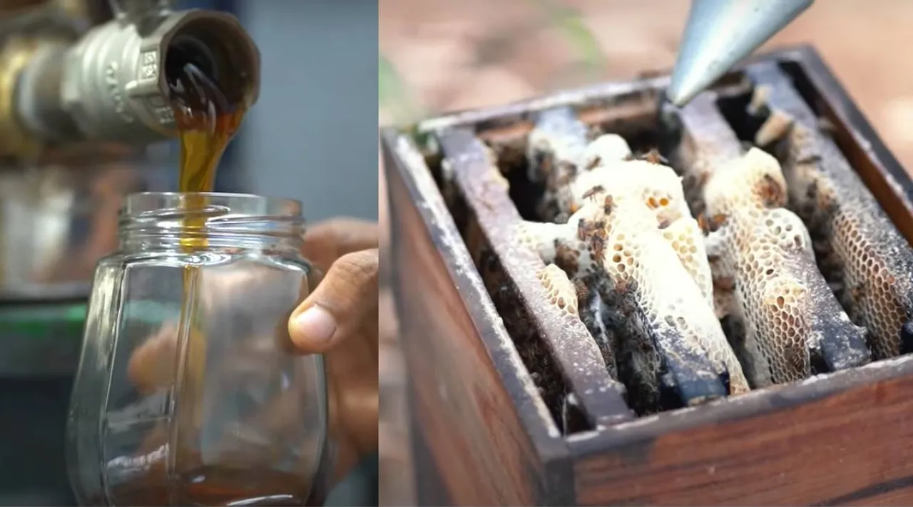 Beekeeping process