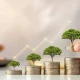 Top savings schemes