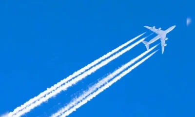 plane-flies