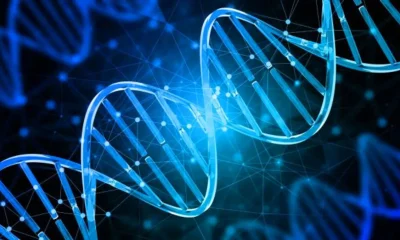 Human-Life-Span